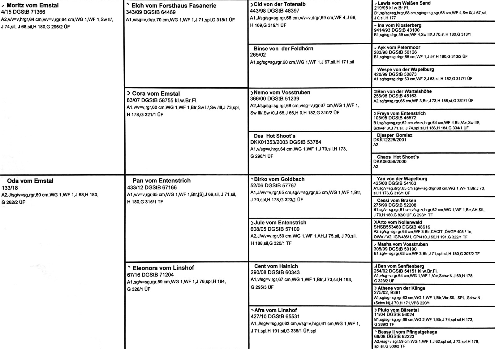 Ahnentafel A- und B-Wurf