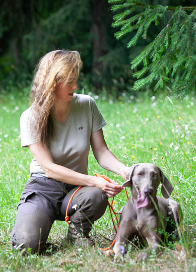 Weimaraner vom Heidelbachtal